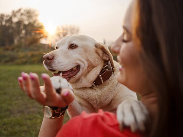 Liechtenstein Life Startseite